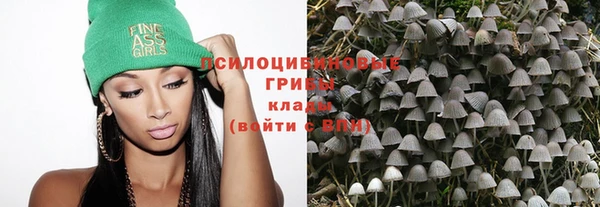 mdpv Алзамай